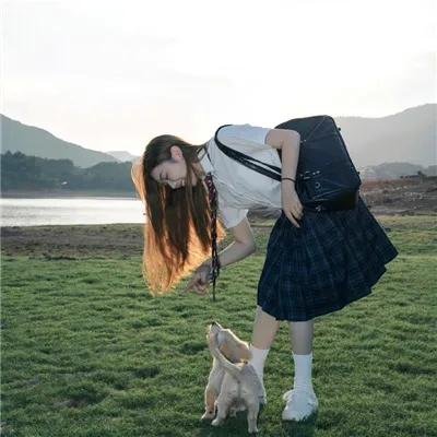 卫斯理之老猫