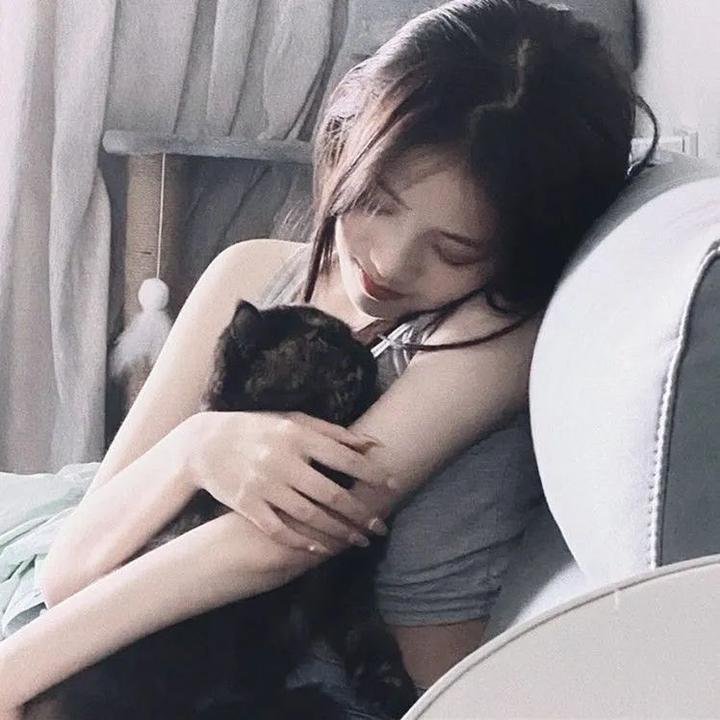 哈莉·奎茵第四季