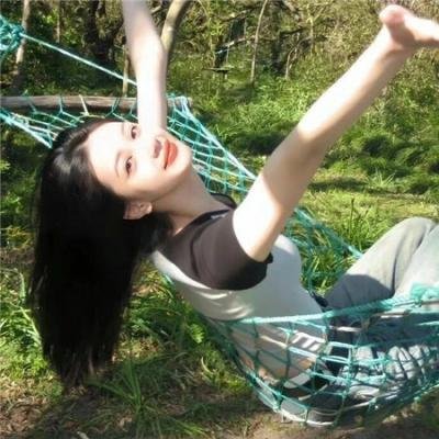 纸房子:全球热潮